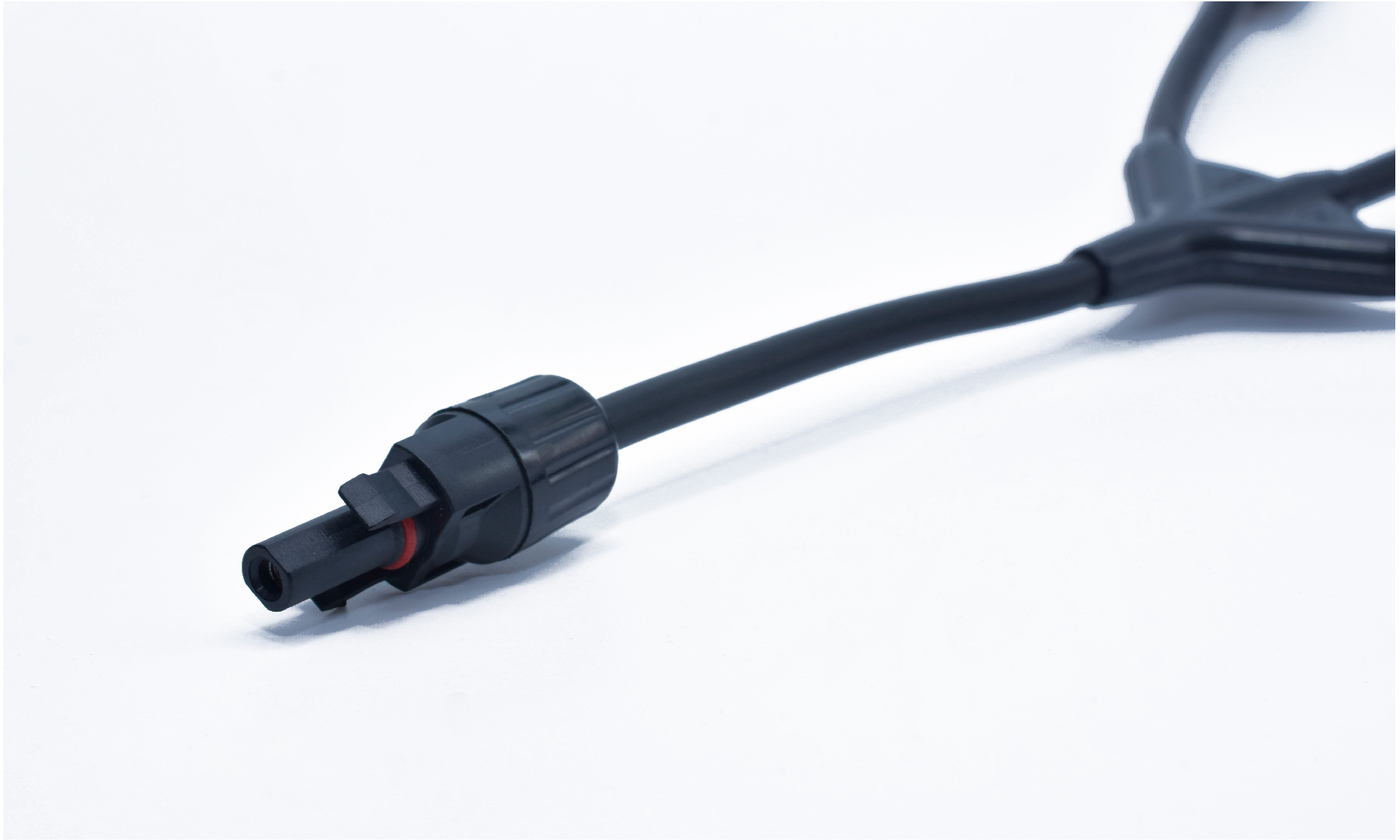 Sin t°tulo-8_Mesa de trabajo 1 copia 2